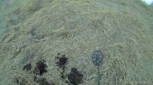 Начало сезона 2026 с Металлоискателем Менелаб Экстера Про