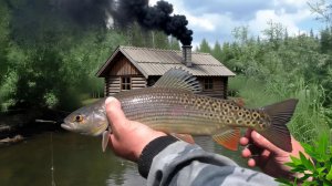 Охота и Рыбалка ЛОВЛЯ на ПОПЛАВОК Огромных ХАРИУСов Аэролодка Квадракоптер Тайга Сибирь