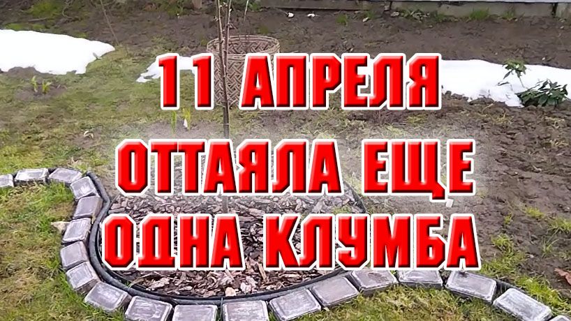 11 апреля. Оттаяла еще одна клумба