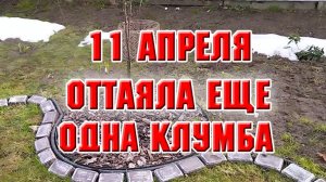 11 апреля. Оттаяла еще одна клумба