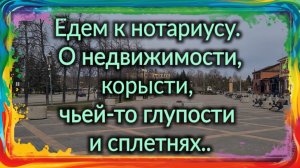 Едем к нотариусу. О чьей-то глупости, о моей корысти, сплетнях и слухах...