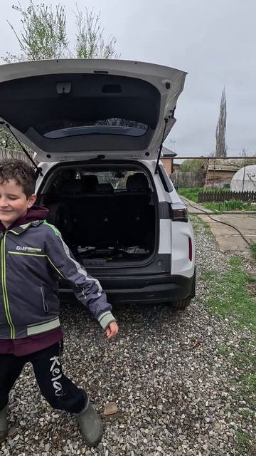 Установил усилитель  DL Audio Gryphon Lite 1.500