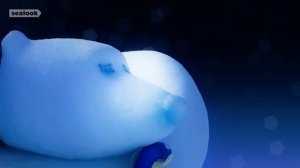 Baby Seal Home Alone (Part 2)  SEALOOK S2  EP.23