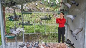 Строительство курятника на месте грибницы для разведения голубей. Серия 87. Ли Фук Ви