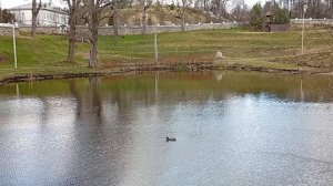 Колокольный звон 🔔