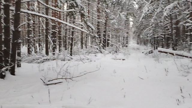 рядом охотники