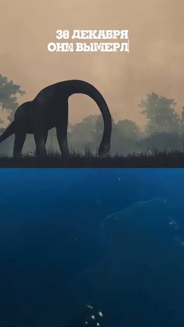 Какие мы крупинки в этом мире.......