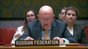 Василий Небензя. Выступление в СБ ООН по взаимодействию ООН с ЕС.