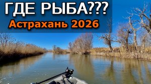 Километры БЕЗ хищника в Дельте Волги – Как тут ловить??? Рыбалка в Астрахани
