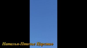 Купили инкубатор