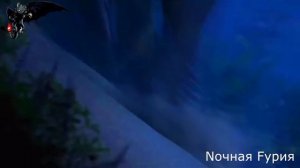 Приколы 2( ночная фурия)