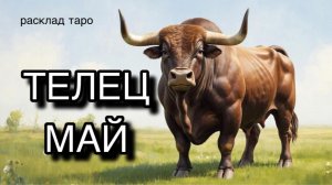 ТЕЛЕЦ таро прогноз на МАЙ 2026 [расклад таро] [гадание онлайн]