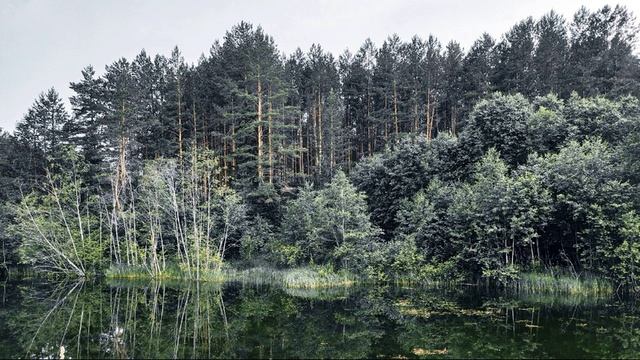 О. Мандельштам.  В огромном омуте прозрачно и темно...