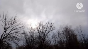 Матушка - природа.