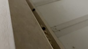 Установка Кухни первый опыт