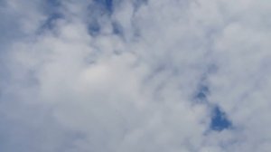 13.04.26 г. Андижанская порода голубей (2)