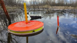 ПЕРВАЯ РЫБАЛКА НА КРУЖКИ В АПРЕЛЕ. ИЩЕМ ЩУКУ В ЗАРОСЛЯХ КАМЫША!