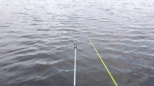 Сегодня порыбачил на короткую удочку🎣 Насадка тесто, прикормка дробленка. Клёв хороший.
