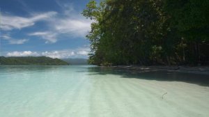 Тропический пляж - звуки волн океана, умиротворяющий дикий остров