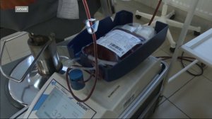 Неделя популяризации донорства крови и костного мозга стартует сегодня