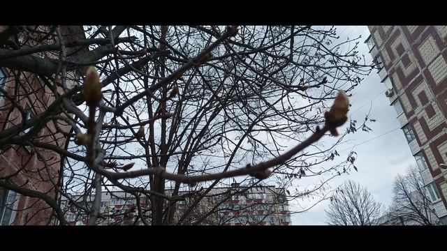 1651. Белгород.Весна 2026.