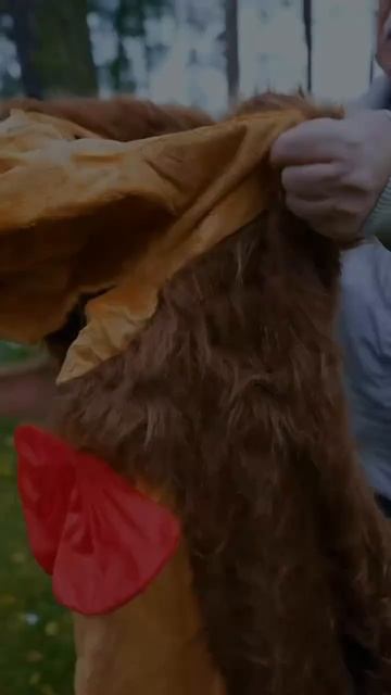 Нет ничего опаснее скучающих детей) #pov #story #povstory #актрисасоня #хомоваактриса #детскийблог #