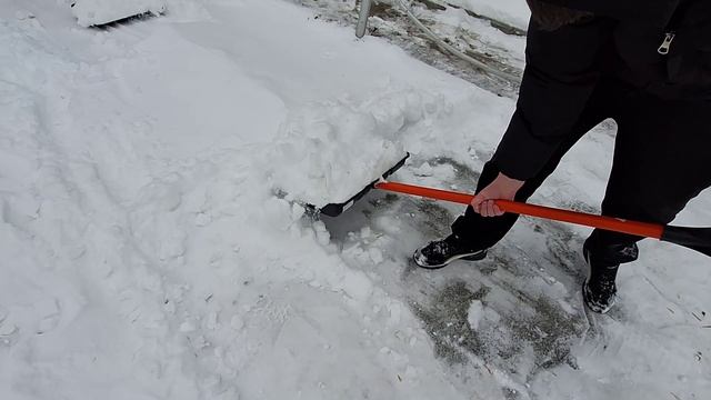 Волонтёрское движение (1)