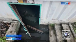 Несколько лет нижегородцы на Авангардной №6 живут без свежего воздуха