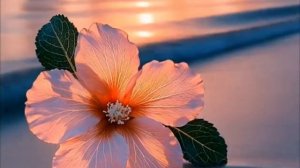 Спрячьте это в доме 17 апреля и деньги польются рекой.