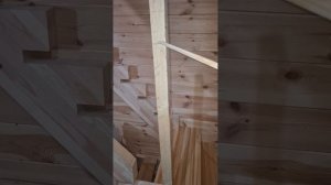 1000055927.mp4 (Собака наблюдает за устройством лестницы на 2-ой этаж в доме А-фрейм)