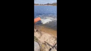 Всем хорошего дня! Привезли карпа.