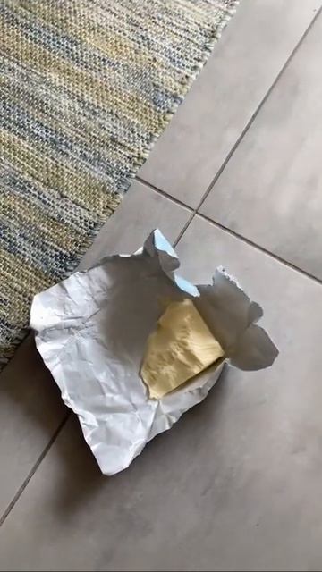 Собака и масло