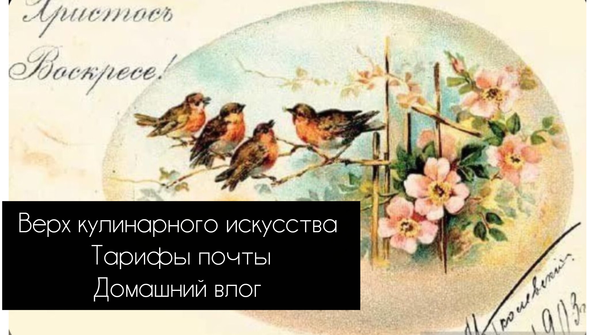 Домашний влог