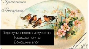 Домашний влог