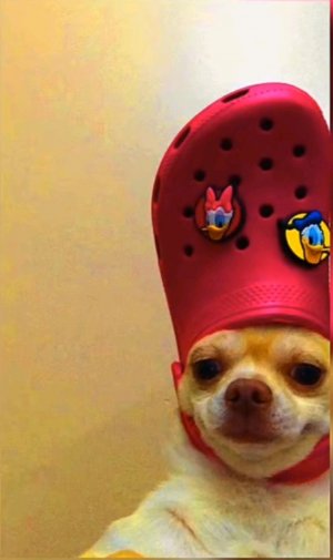 Играем в мисайд
БУДУ РАД ТЕБЯ ВИДЕТЬ