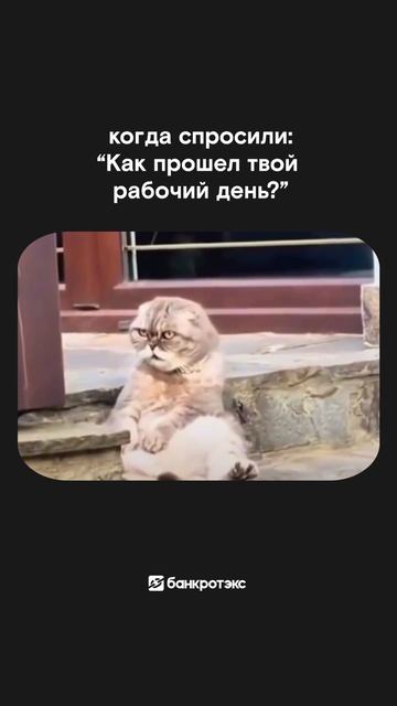 Нет слов - одни эмоции