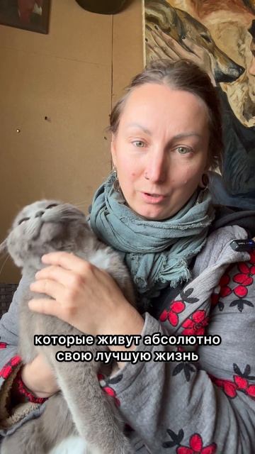 Кто любит кошек?