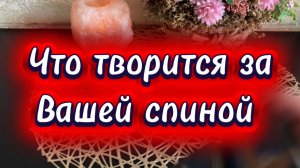 Что происходит за вашей спиной🔥🔮❤️🔥Таро