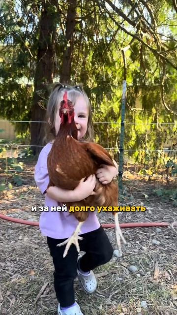 Что такое правильное пищевое поведение?