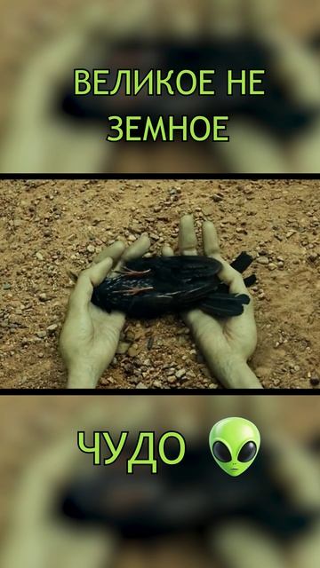 Великое не земное чудо. 🤣