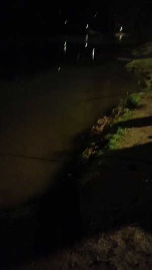 Рыбалка Красногорск ночь с 10 на 11 апреля