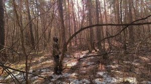 Самооборона от дикого зверя, как она работает на самом деле