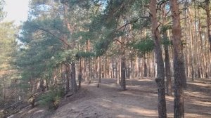 Недопонимание друг друга людей из разных слоев общества. Если нет хлеба, пусть едят пироженые