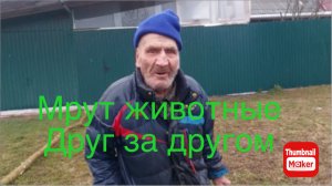 Быть Добру. Мрут животные друг за другом