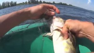 РЫБАЛКА КРУПНОЙ ЯЧЕЁЙ- 60 НА БОЛЬШОЙ ГЛУБИНЕ.ЛОВЯТСЯ НАЛИМЫ!