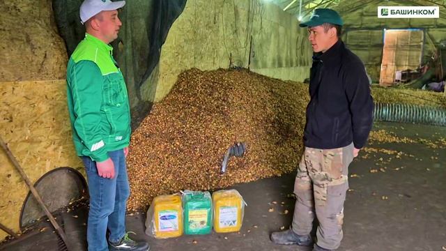 Новый сезон. Фермер выращивает лук с биопрепаратами БашИнкома