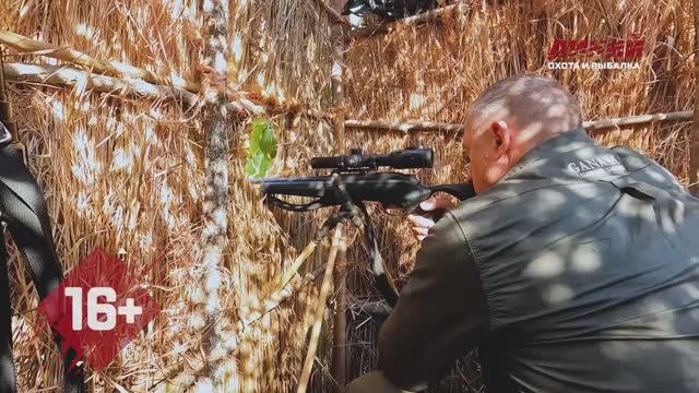 Охота на льва. Танзания. Путь к трофею.