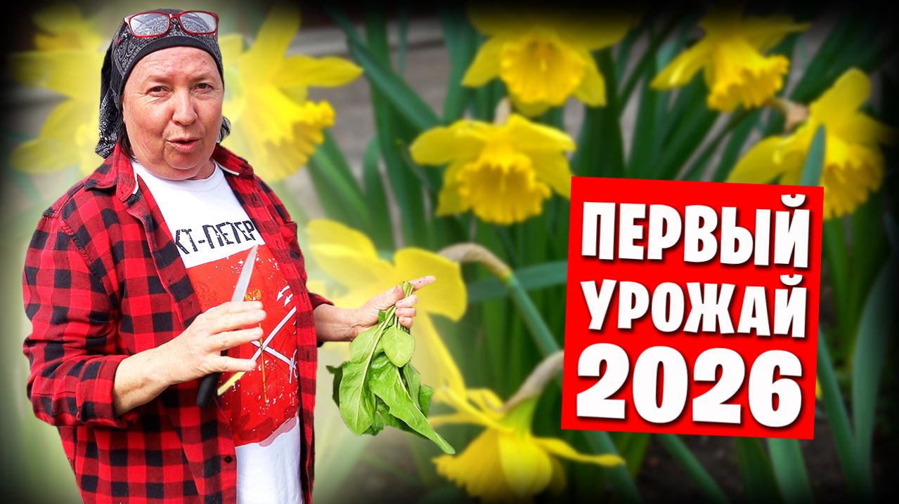 Теплица, огород, оранжерея, коты и празднование Светлой Пасхи