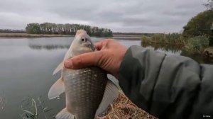 Рыбалка на донку осенью на карпа и карася.