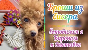 Броши из бисера ко Дню Победы / Голубь Победы из бисера / Броши из бисера / Георгиевская ленточка /